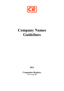 Company Names Guidelines