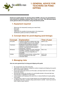 General tips for teachers planning pond