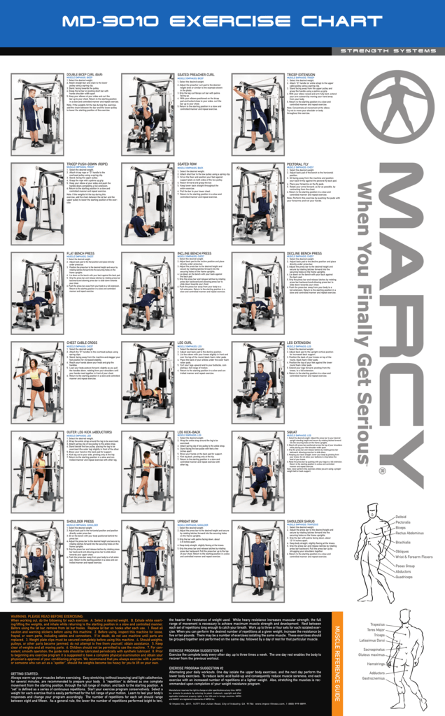 Biceps And Triceps Exercise Chart