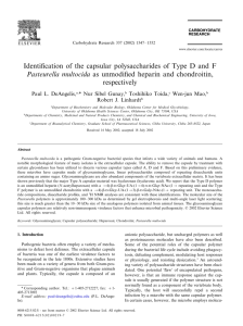 Identification of the capsular polysaccharides of Type D