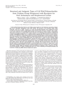 Structural and Antigenic Types of Cell Wall Polysaccharides