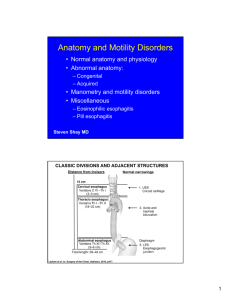 Anatomy and Motility Disorders