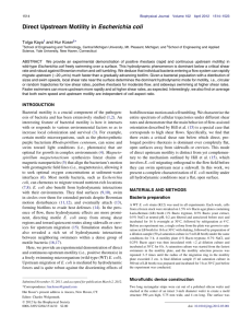 Direct Upstream Motility in Escherichia coli