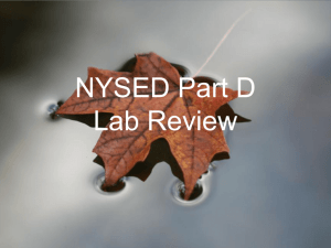 Diffusion & Osmosis Lab review