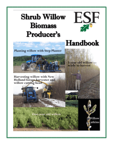 Willow Producers Handbook - SUNY College of Environmental