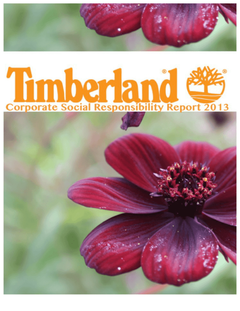 timberland corporate social responsibility case study