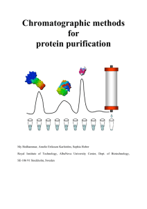 Chromatographic methods for protein purification
