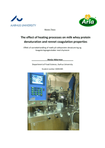 The effect of heating processes on milk whey protein denaturation