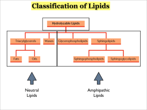Amphoteric Lipids and Membranes