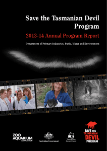 STDP Annual Program Report 2013-14