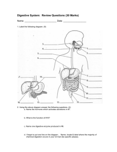 1. Digestive System Questions