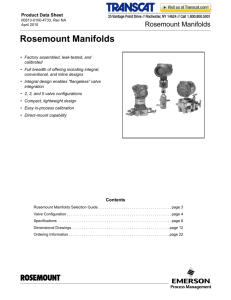 Rosemount 305, 306 Manifolds