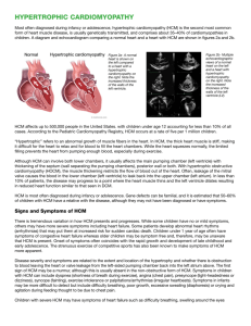 hypertrophic cardiomyopathy - American Heart Association