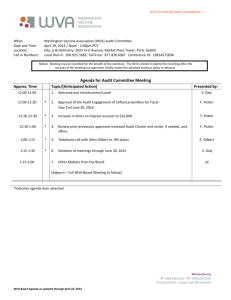 2014-04-29 WVA Audit Committee Packet (Complete)