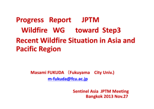 P R JPTM Progress Report JPTM Wildfire WG toward Step3 toward