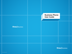 Business Phone User Guide