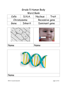 Grade 5 Human Body Word Bank Cells D.N.A. Nucleus Trait