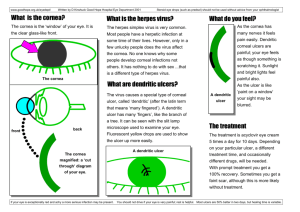 What is the cornea? What are dendritic ulcers? The treatment What