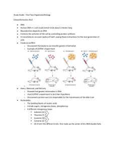 Study Guide – Test Two Organismal Biology Deoxyribonucleic Acid