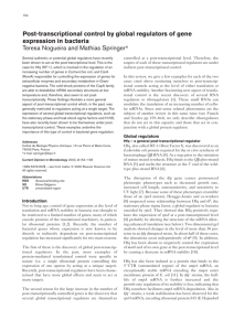 Post-transcriptional control by global regulators of gene