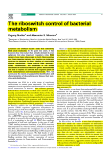 The riboswitch control of bacterial metabolism