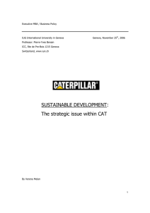 SUSTAINABLE DEVELOPMENT: The strategic issue within CAT