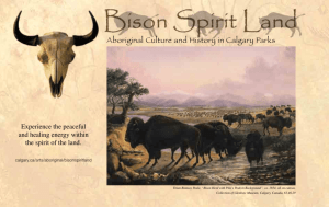 Bison Spirit Land - Aboriginal Culture and History in Calgary Parks