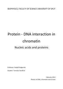Protein - DNA interaction in chromatin
