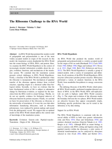 The Ribosome Challenge to the RNA World