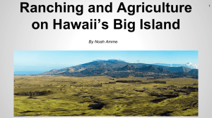 Ranching and Agriculture on Hawaii's Big Island