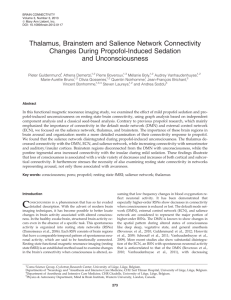 Thalamus, Brainstem and Salience Network Connectivity Changes
