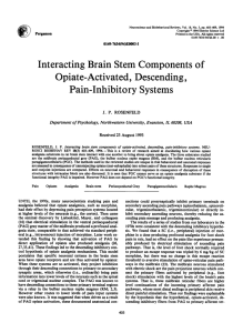 Interacting brain stem components of opiate
