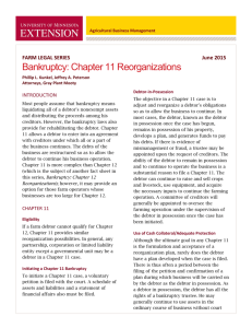 Bankruptcy: Chapter 11 Reorganizations