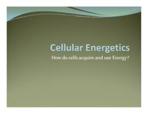 How do cells acquire and use Energy?