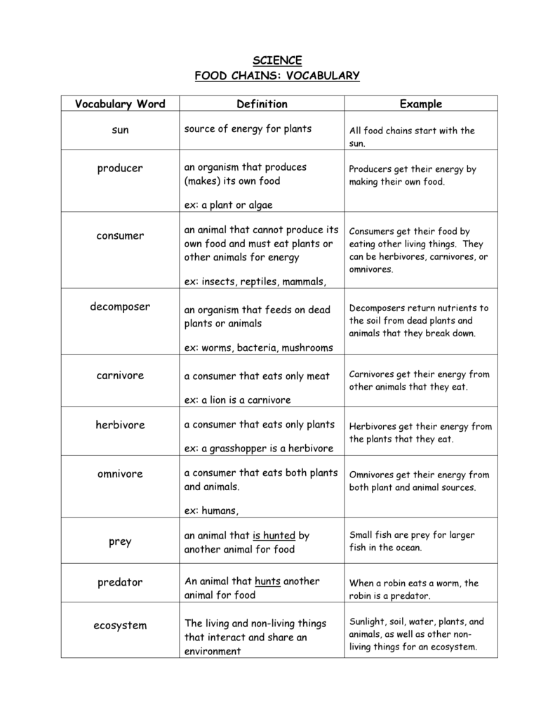 science-food-chains-vocabulary-vocabulary-word