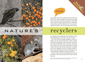 Nature's recyclers