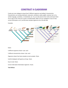 Create your own cladogram using at least 5 different organisms and