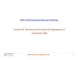 Lecture 02: Structural and Functional Organization of Eukaryotic Cells