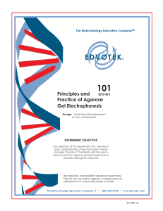 Principles and Practice of Agarose Gel Electrophoresis