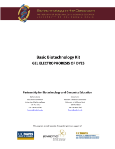 Gel Electrophoresis of Dyes - the Partnership for Biotechnology and
