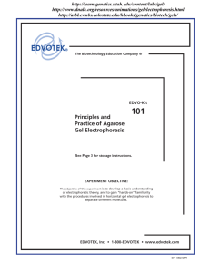 101 Principles and Practice of Agarose Gel Electrophoresis