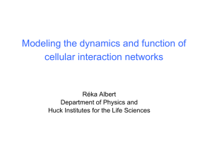 Modeling the dynamics and function of cellular interaction