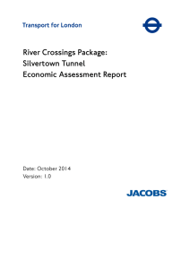 Economic Assessment report