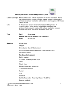 5.16 Photosynthesis Cellular Respiration Cycle