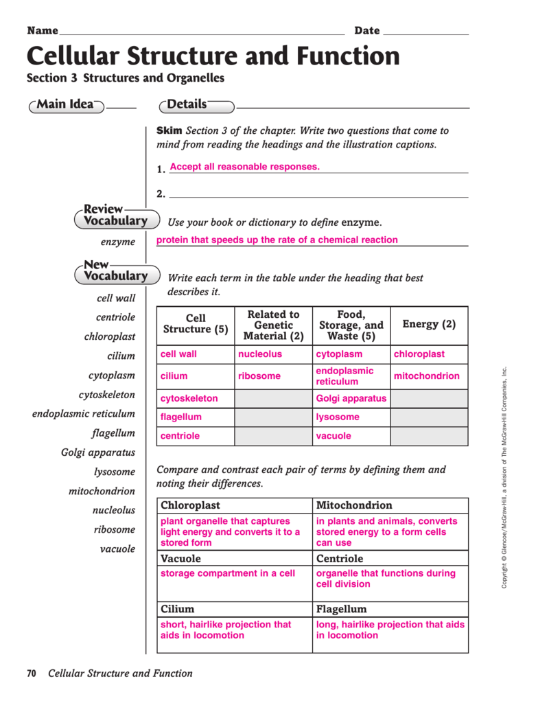 Cell Structure Location And Function Chart