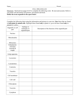 Organelle Quiz Study Guide 1. List the 3 parts of the Cell Theory 1