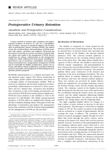 Postoperative Urinary Retention: Anesthetic and Perioperative