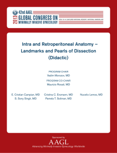 Intra and Retroperitoneal Anatomy – Landmarks and Pearls of