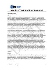Motility Test Medium Protocol