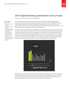 2014 Digital Marketing Optimization Survey results